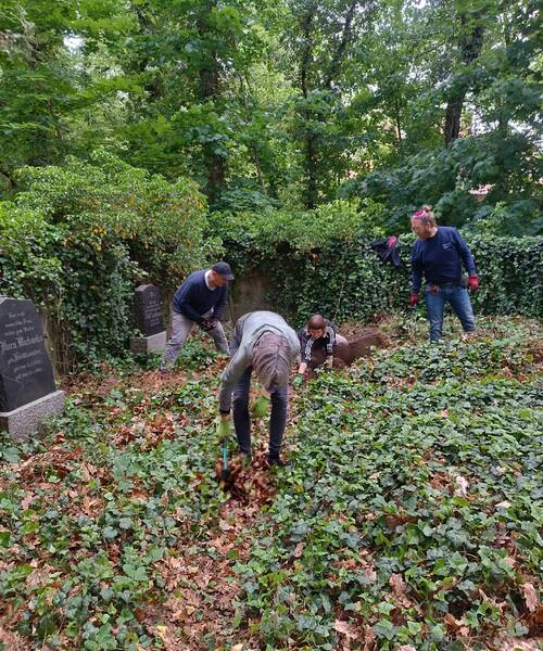 Pflege und Erinnerung: Friedhofsaktion auf dem Alten Jüdischen Friedhof Eberswalde